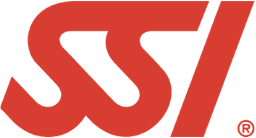 SSI