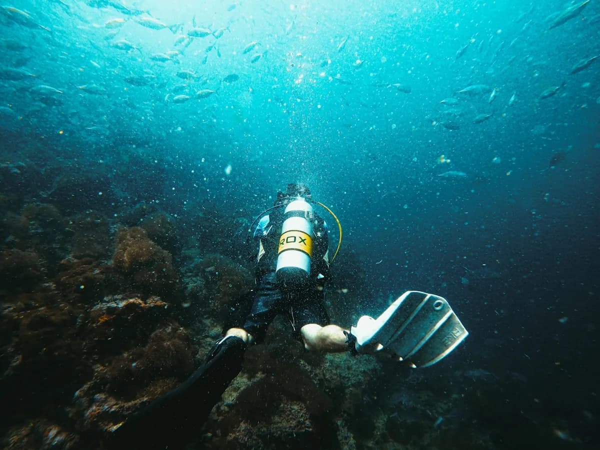 First Time Diving Komodo: What to Expect