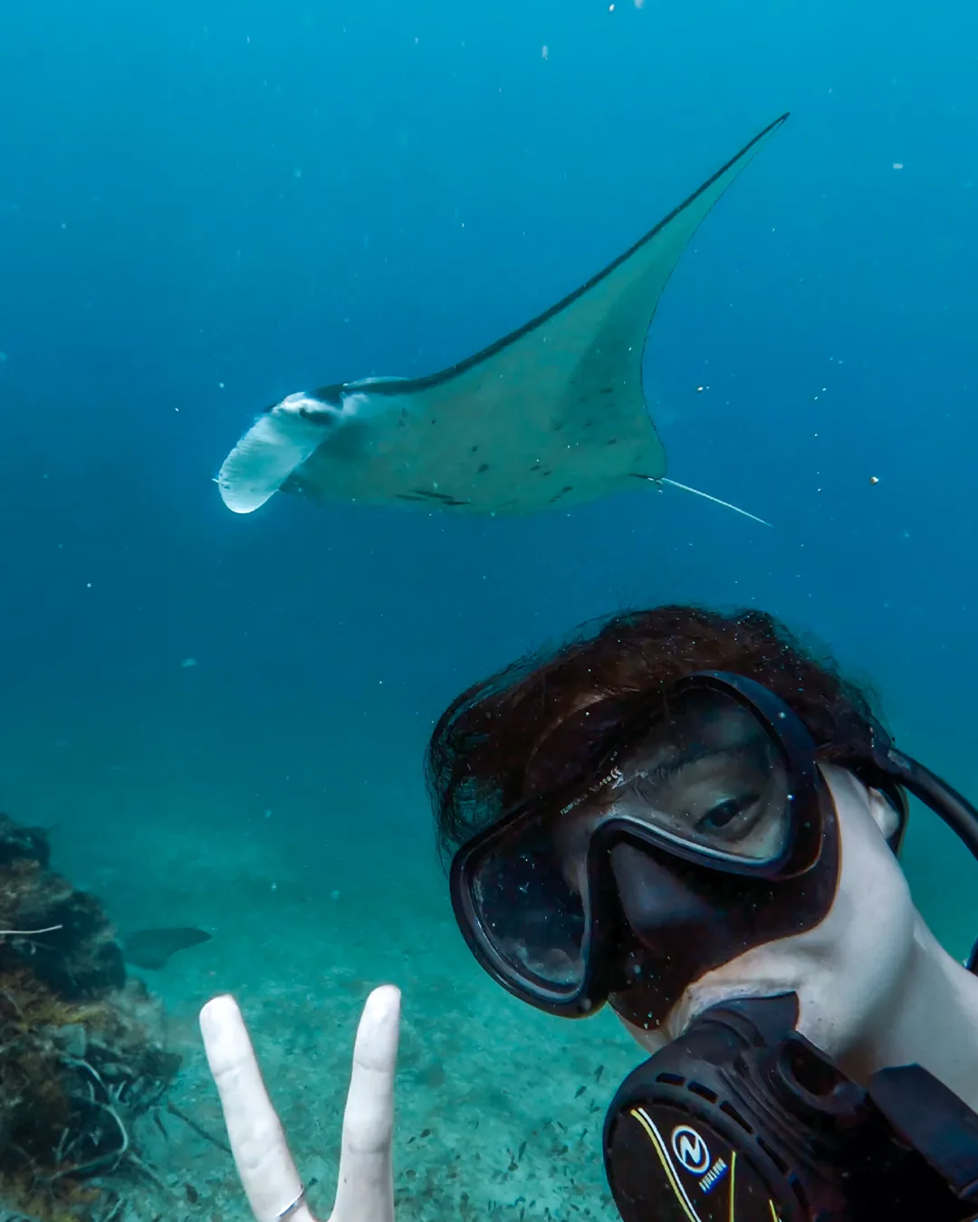 Dive Tribe Komodo - diving gallery photo 1