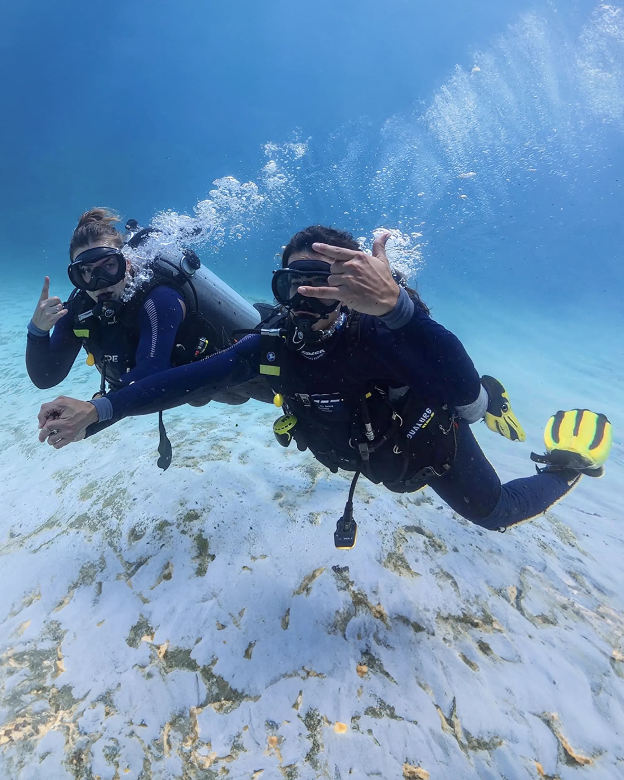 Dive Tribe Komodo - diving gallery photo 14