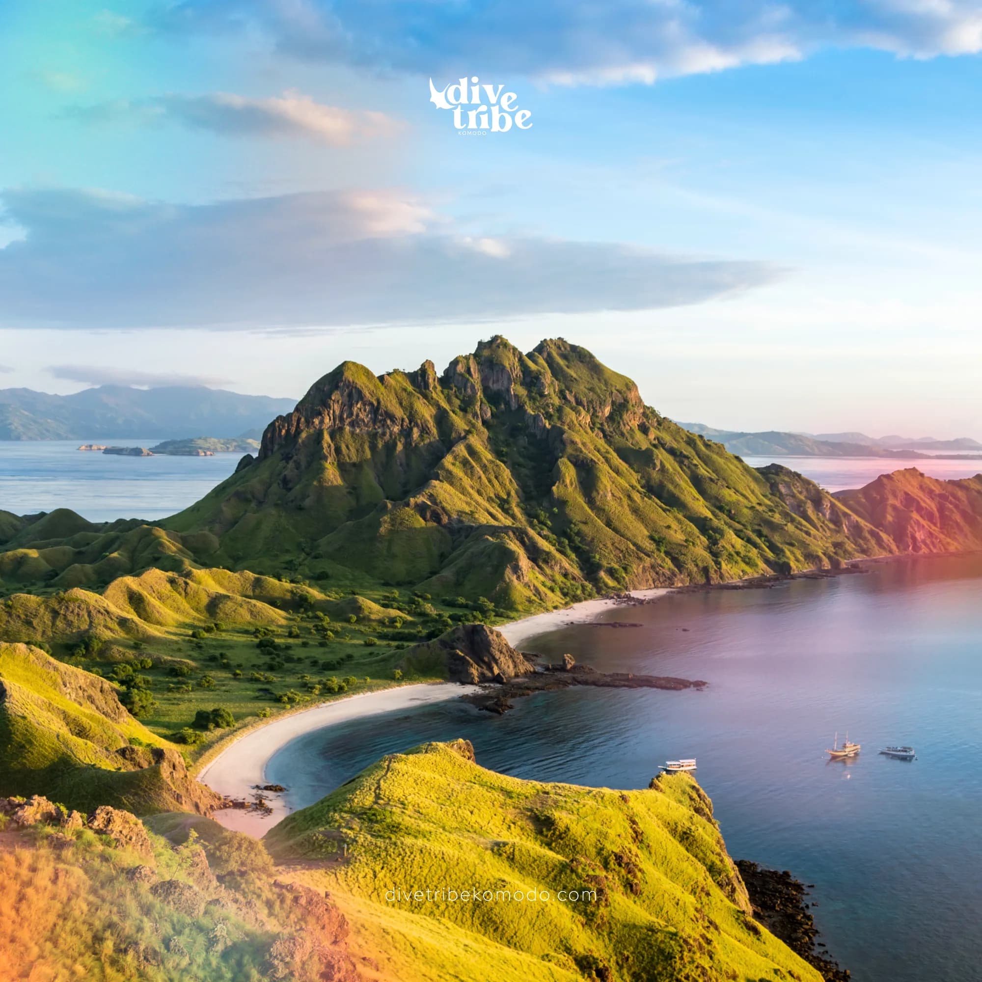 Dive Tribe Komodo - diving gallery photo 9