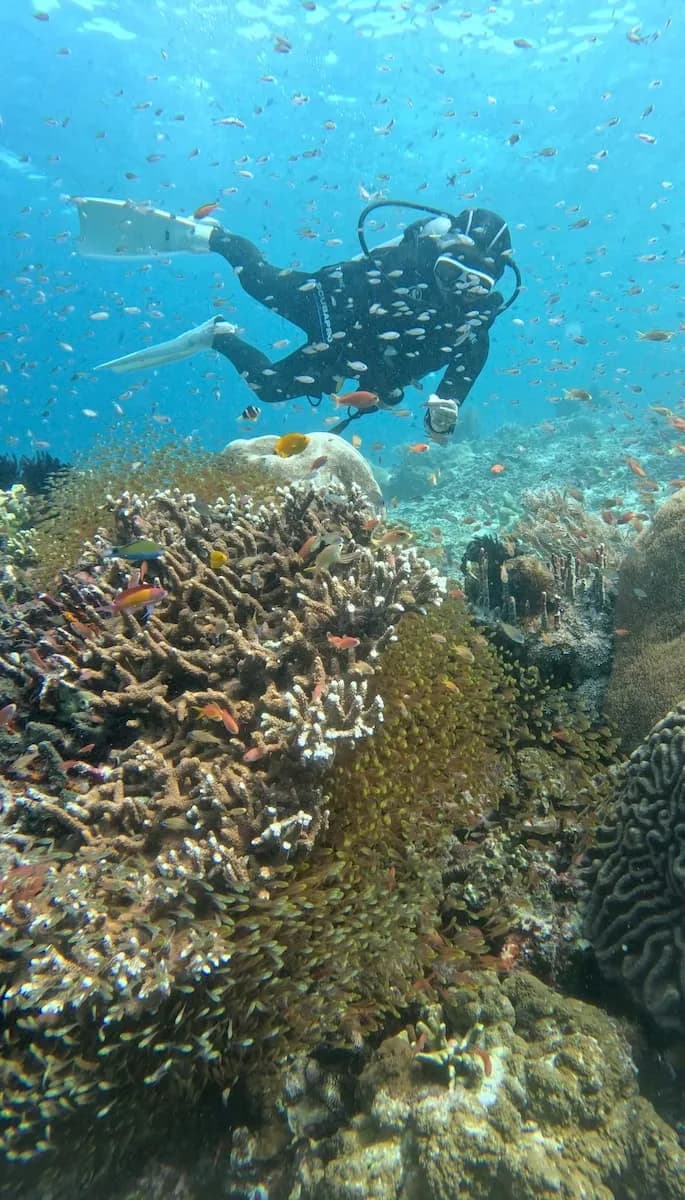 Amare Divers Komodo - diving gallery photo 12