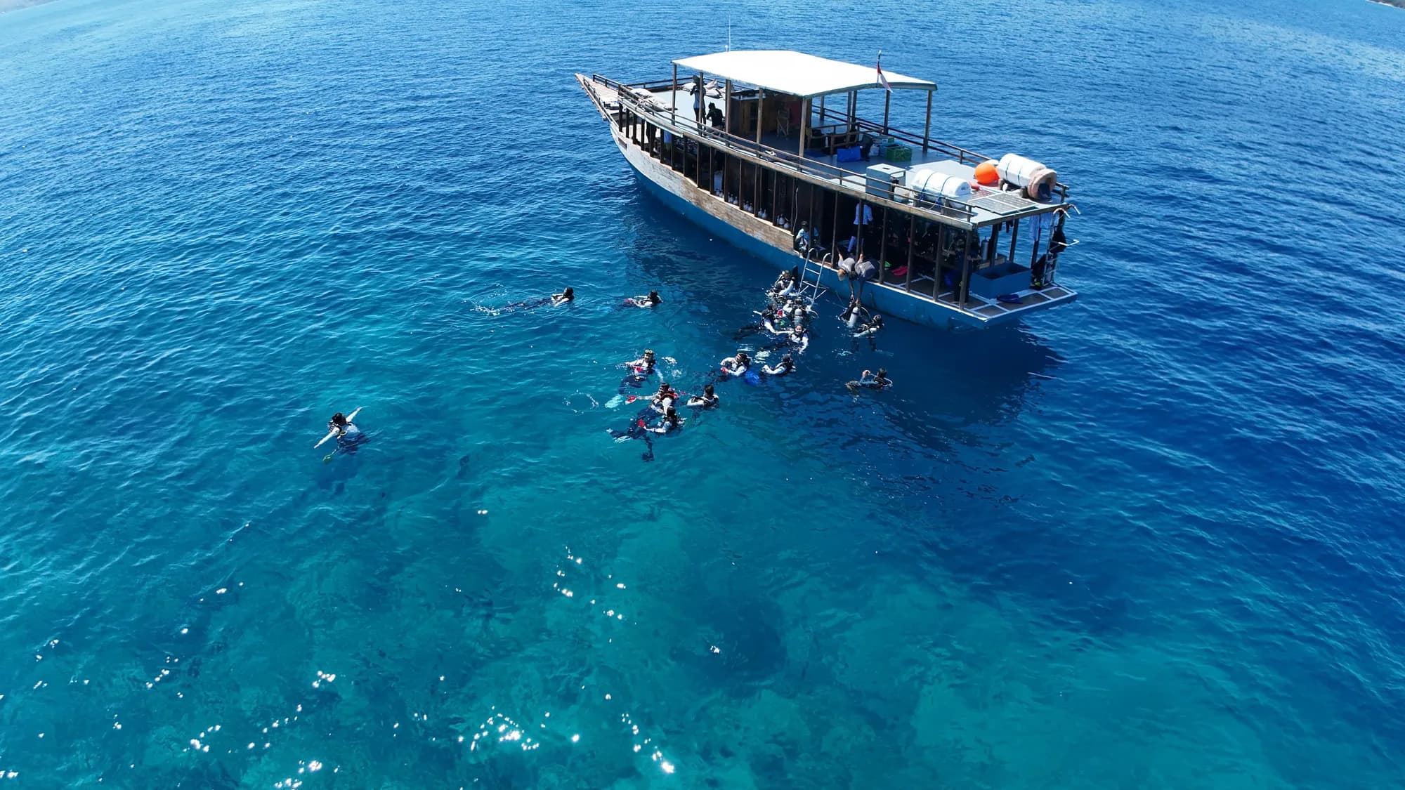 Amare Divers Komodo - diving gallery photo 6